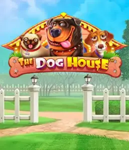 Pragmatic Play's The Dog House, featuring an adorable experience among lovable dogs. Enjoy gameplay elements such as free spins, perfect for delivering exciting wins. Ideal for pet lovers a cheerful setting and the opportunity to win big.