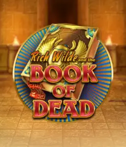 Embark on the thrilling world of Book of Dead Slot by Play'n GO, featuring vivid graphics of Rich Wilde’s adventurous journey through ancient Egyptian tombs and artifacts. Discover lost riches with exciting mechanics like free spins, expanding symbols, and a gamble option. Ideal for adventure enthusiasts with a desire for thrilling discoveries.